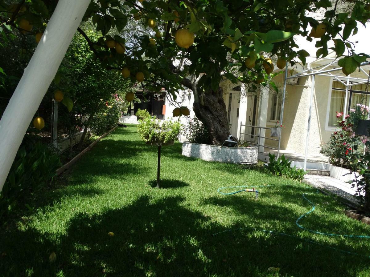 Margarita Apartments Nikiana Luaran gambar